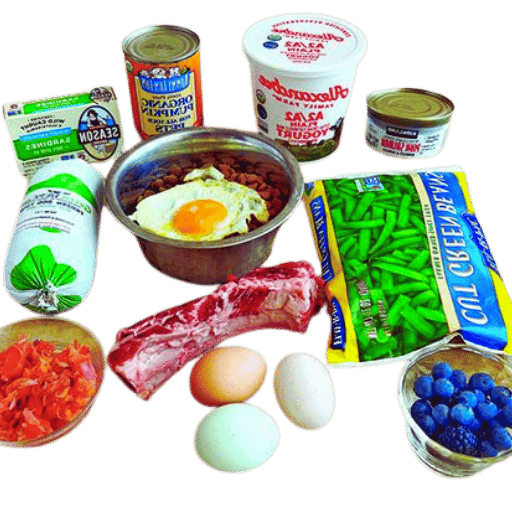 ¿Son seguros los conservantes alimentarios en la comida para perros?