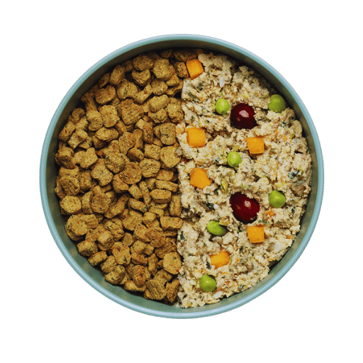 ¿Qué papel juegan los probióticos en la comida para perros?