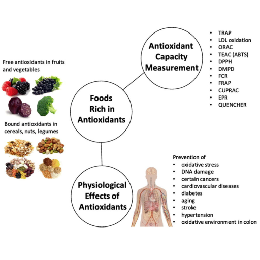 What makes an antioxidant powerful, and how is it measured?