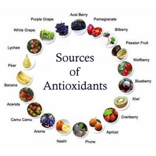 Which antioxidant is considered the most potent?