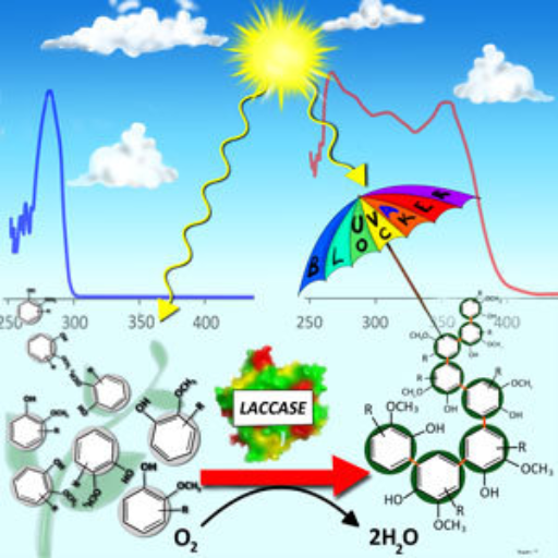Importance of UV Protection in Polymers