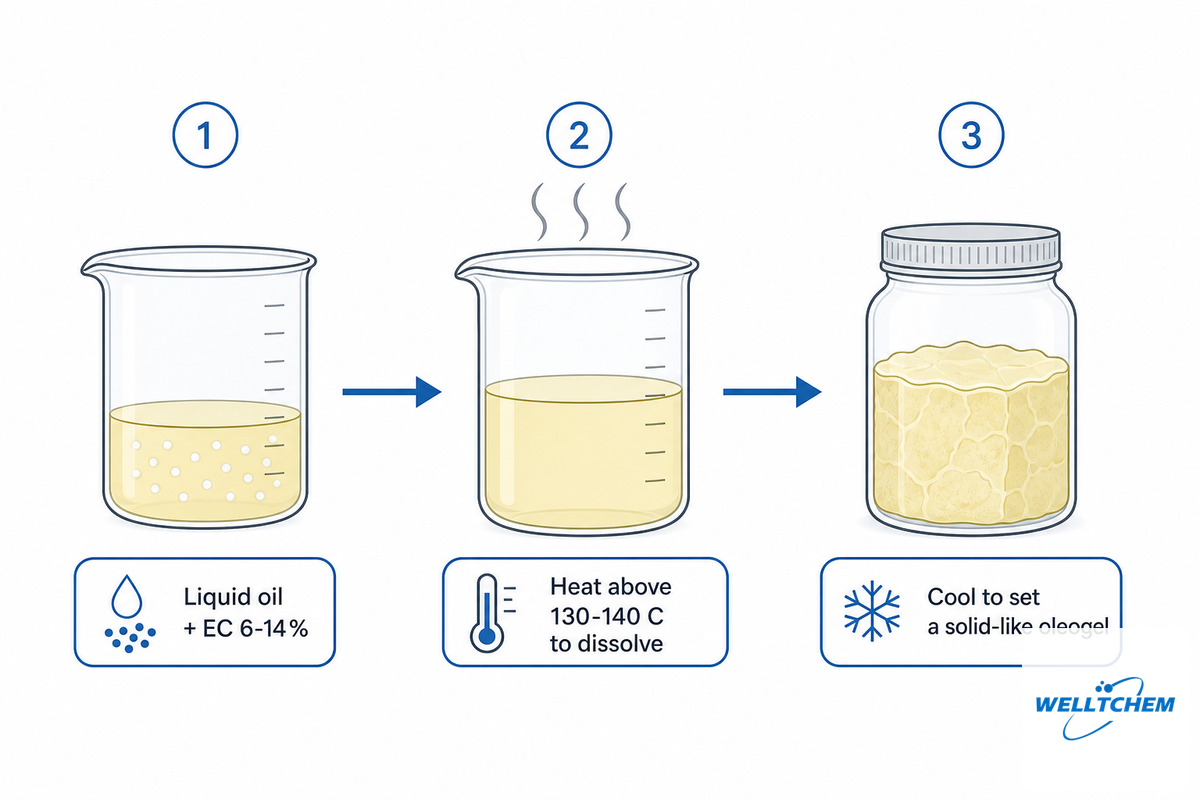 Ethyl Cellulose Oleogels: Structuring Oil and Replacing Saturated Fat &mdash; Welt