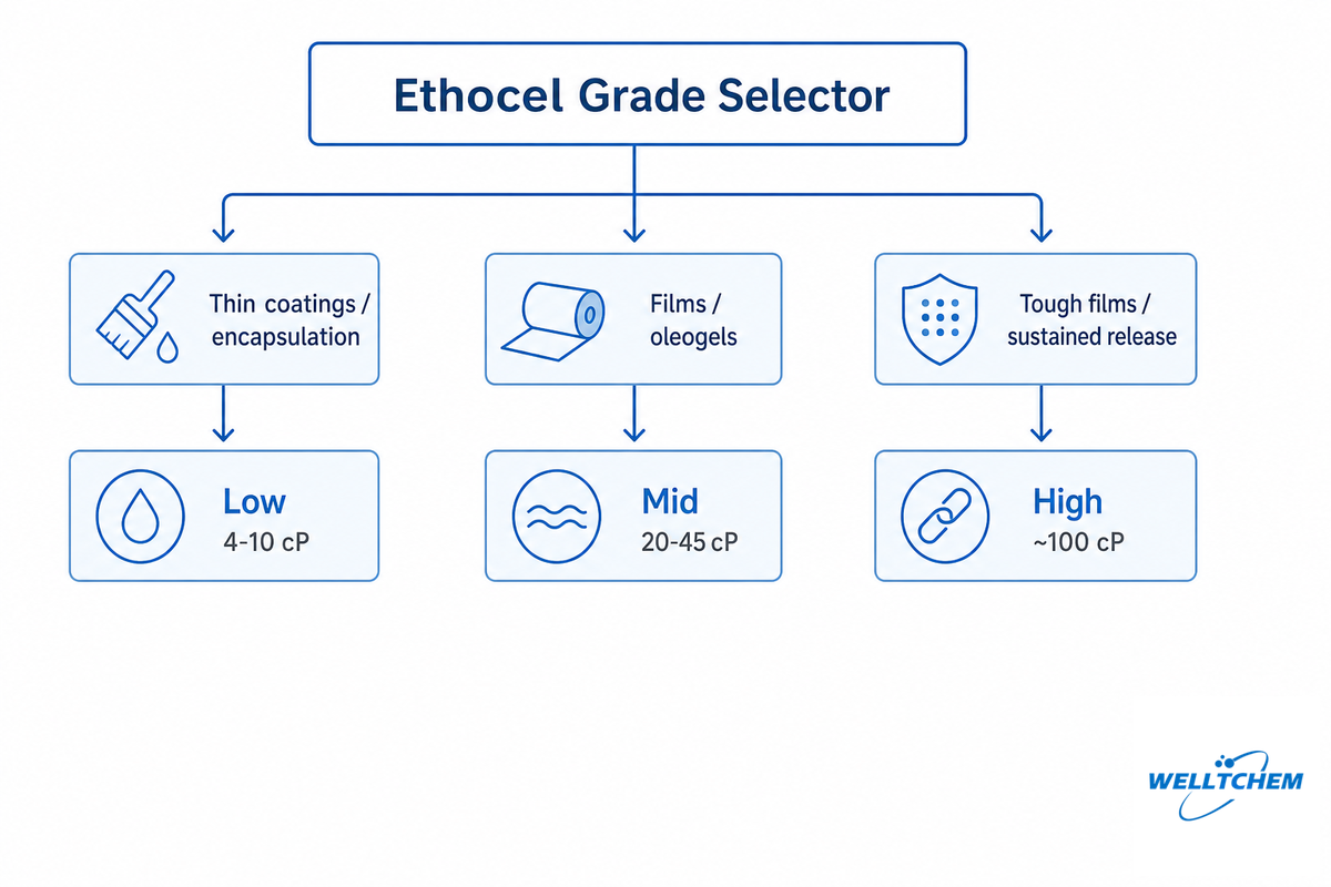 Choosing the Right Food-Grade EC Grade (Viscosity and Solvent) &mdash; Welt