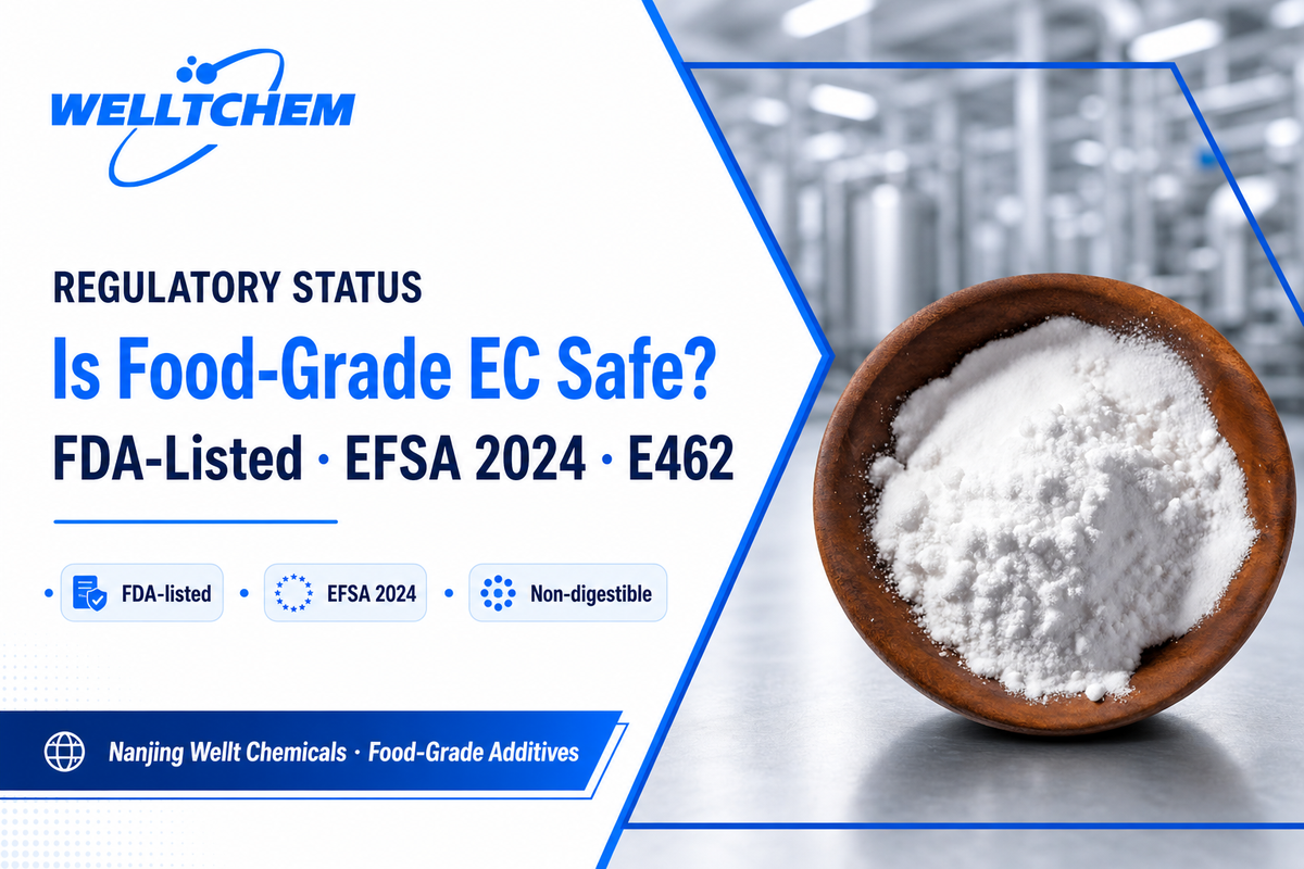 Is Food-Grade Ethyl Cellulose Safe? (E462, FDA, EFSA) &mdash; Welt